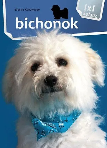 Vedd meg online Bichonok