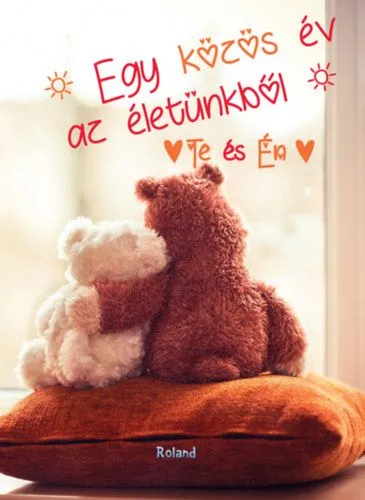 Te és Én - Egy közös év az életünkből (macis borító) Végkiárusítás