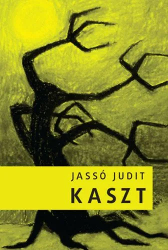 Expressz kézbesítés Kaszt