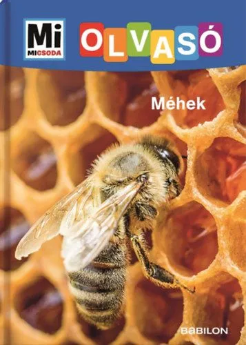 Méhek - Mi Micsoda Olvasó Utolsó esély