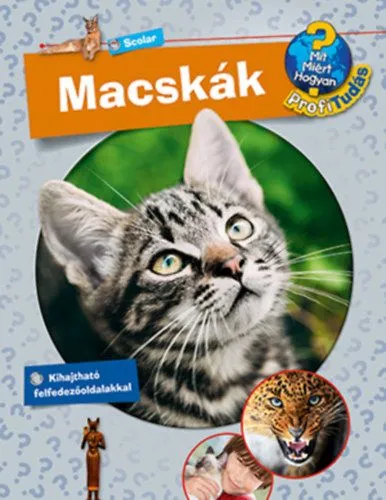 Exkluzív ajánlat Macskák - Mit? Miért? Hogyan? Profi tudás