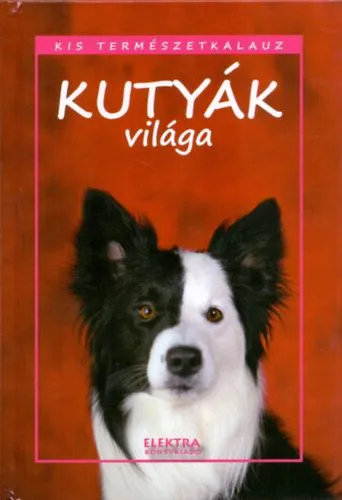 Kutyák világa Ne maradj le