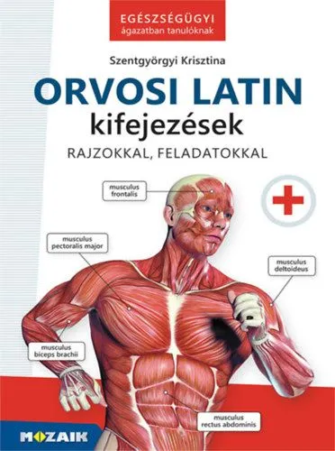 Orvosi latin kifejezések - Egészségügyi ágazatban tanulóknak Legnépszerűbb
