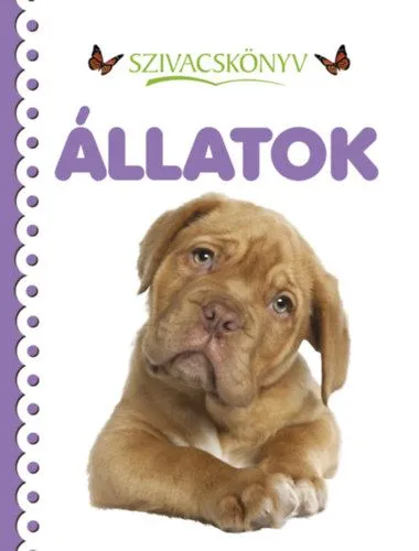 Szezonális akció Szivacskönyv - Állatok