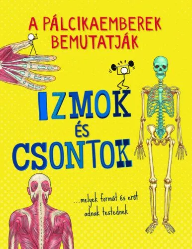 A pálcikaemberek bemutatják - Izmok és csontok Végkiárusítás