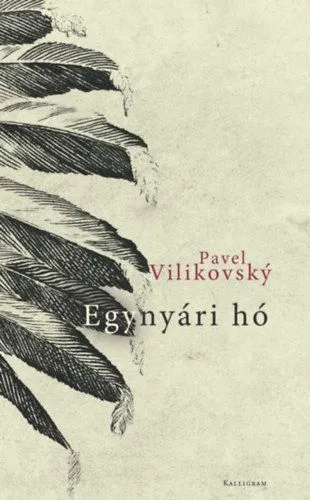 Árcsökkenés Egynyári hó
