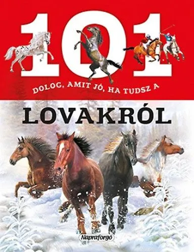 Utolsó esély 101 dolog, amit jó ha tudsz a lovakról