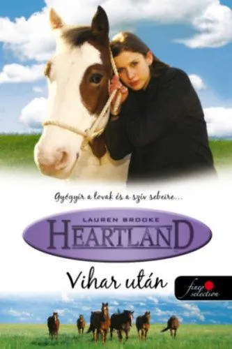 Vihar után - Heartland 2. Ajánlat
