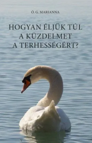 Biztonságos fizetés Hogyan éljük túl a küzdelmet a terhességért?