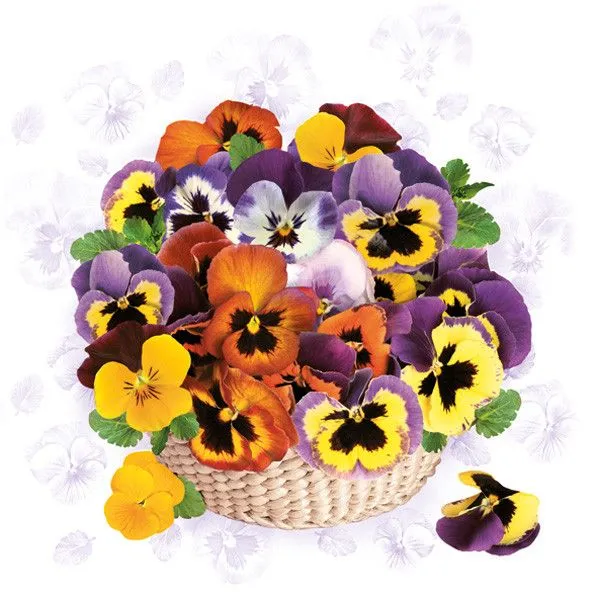 Árvácska Colourful szalvéta 20 db-os 33x33 cm Azonnali szállítás