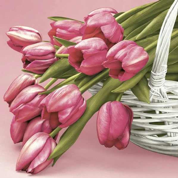 Tulipán Falling szalvéta 20 db-os 33x33 cm Bestseller