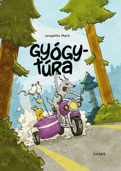 Gyógytúra Prémium