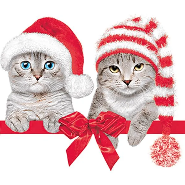 Nézd meg most Cicás Christmas Hats szalvéta 20 db-os 33x33 cm