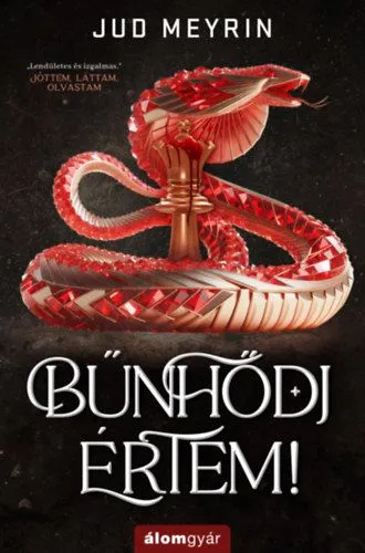 Bűnhődj értem! Utolsó esély