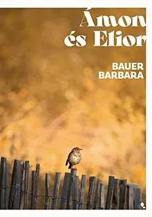 Ámon és Elior (élfestett) Korlátozott ajánlat
