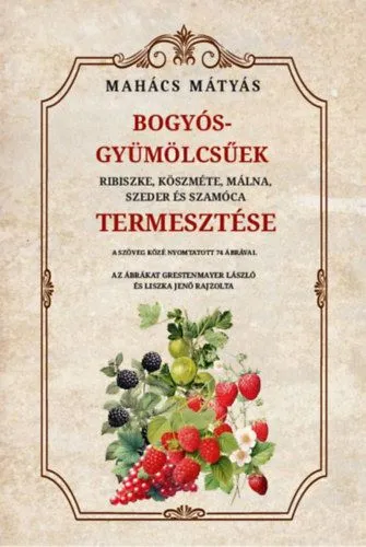 Bogyós gyümölcsűek termesztése - Ribiszke, köszméte, málna, szeder és szamóca Olcsóbb