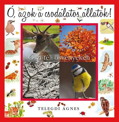 Népszerű Ó, azok a csodálatos állatok - Őszi-téli ösvényeken