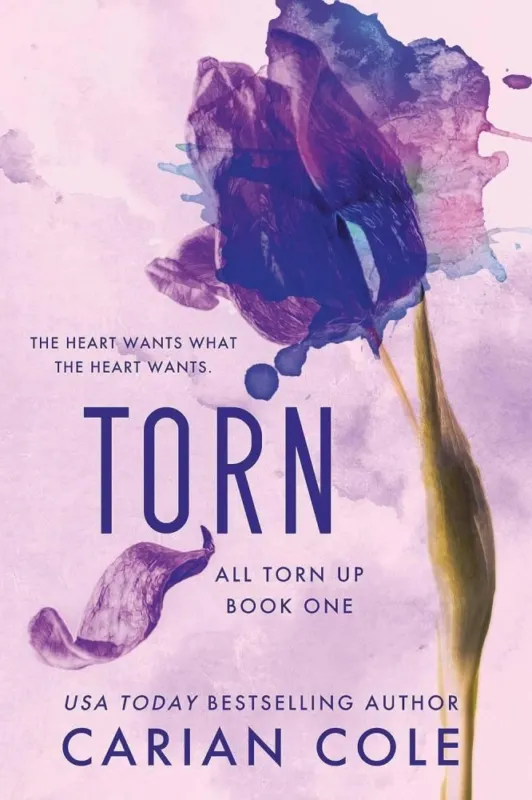 Utolsó esély Torn (All Torn Up Series, Book 1)